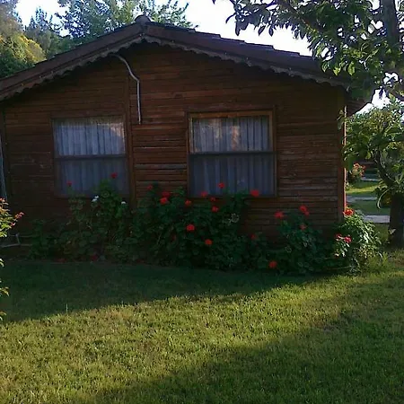 Hidden Garden