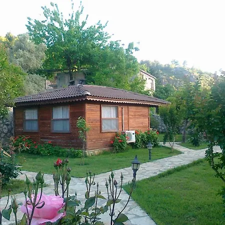 Hidden Garden *